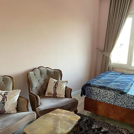 Apartman Large And Spacious In The Center